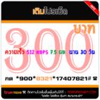 สมัครเน็ตทรู 300 บาท 30 วัน รายเดือน ความเร็ว 512 Kbps